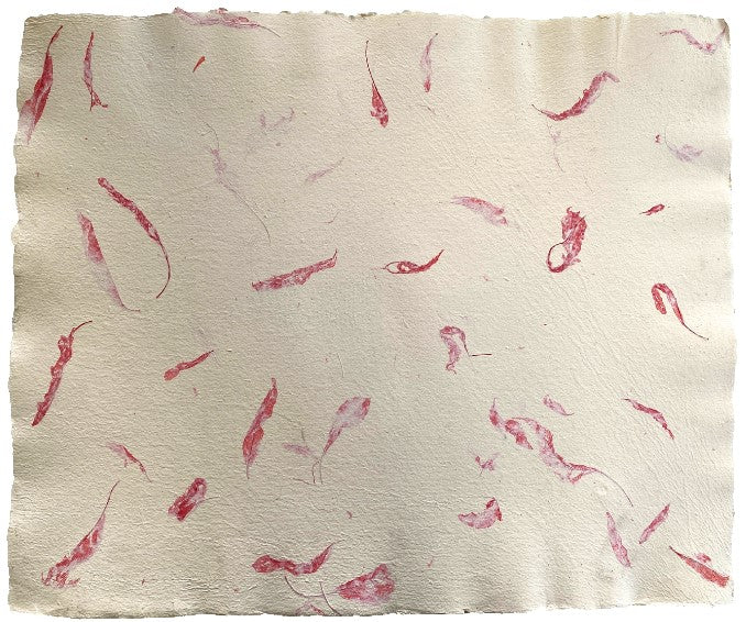 Papel Hecho a Mano c/Hoja Roja Crema 50×60cm Nattura® PEX1+203 Hoja 01