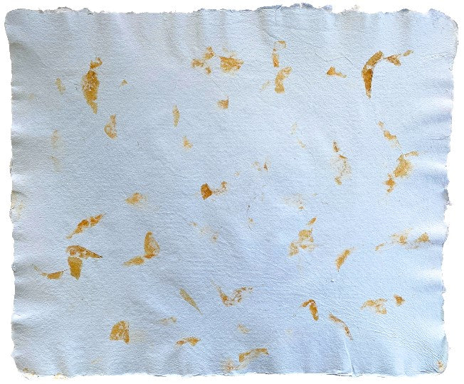 Papel Hecho a Mano c/Hoja Clara Azul 20×30cm Nattura® PEX1+208 Hoja 01