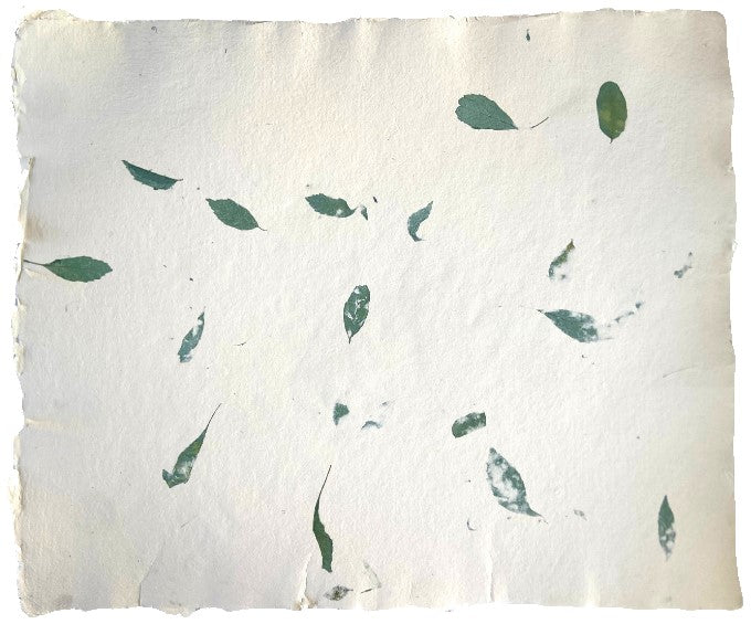 Papel Hecho a Mano c/Hoja Verde Crema 50×60cm Nattura® PEX1+205 Hoja 01