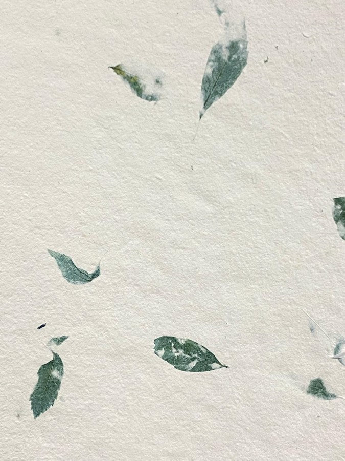 Papel Hecho a Mano c/Hoja Verde Crema 50×60cm Nattura® PEX1+205 Hoja 02