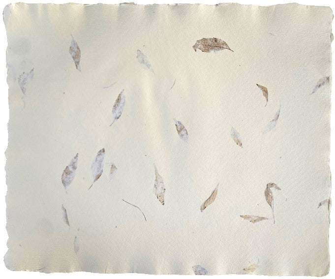 Papel Hecho a Mano c/Hoja Oscura Crema 50×60cm Nattura® PEX1+104 Hoja 01