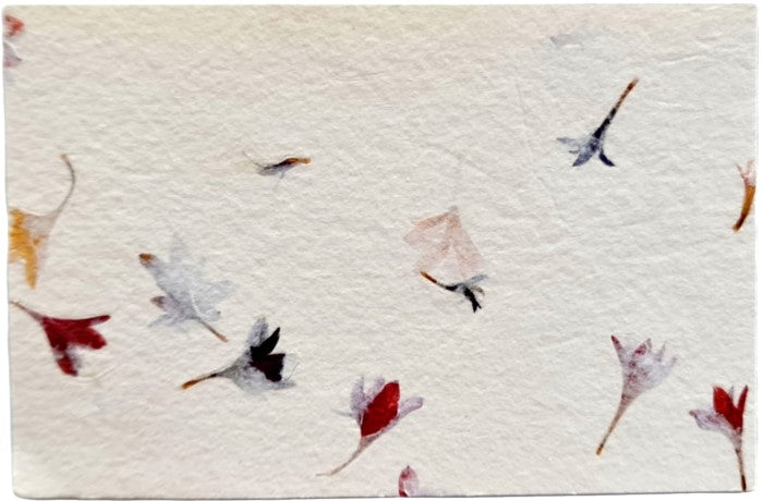 Papel Hecho a ManoTarjeta Crema Hojas 7.5×11.5cm Nattura® Hoja 01