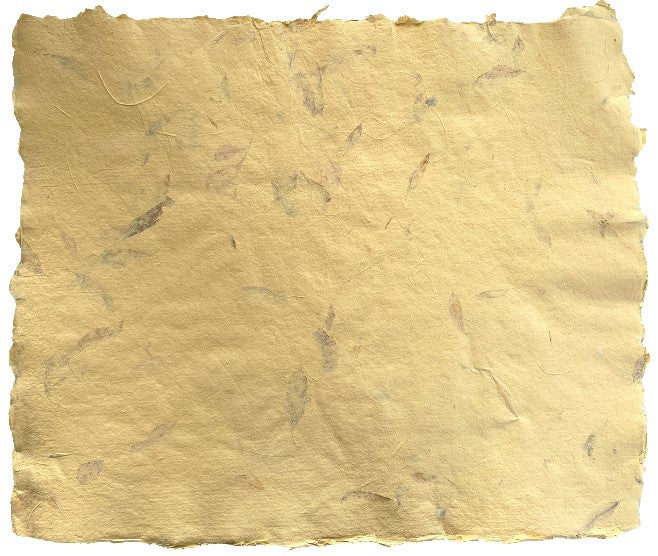 Papel Hecho a Mano c/Hoja Mostaza Amarillo 50×60cm Nattura® PEX1+202 Hoja 01