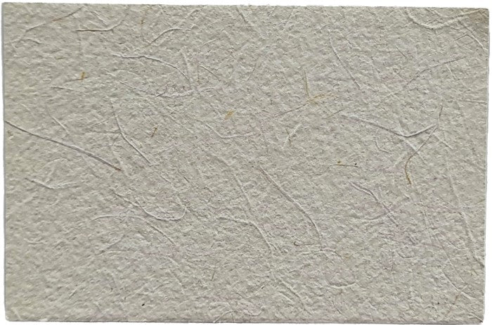 Papel Hecho a ManoTarjeta Maíz 7.5×11.5cm La Ceiba® Hoja 01