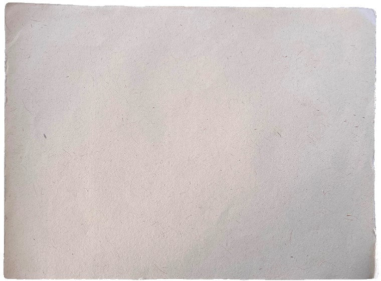 Papel Hecho a Mano Maíz 57×77cm La Ceiba® Hoja 01