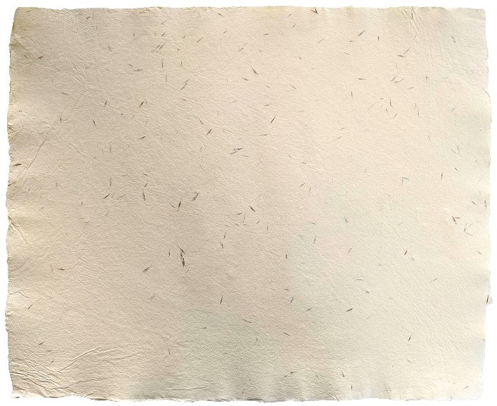 Papel Hecho a Mano c/Espiga Crema 50×60cm Nattura® PEX1+602 Hoja 01