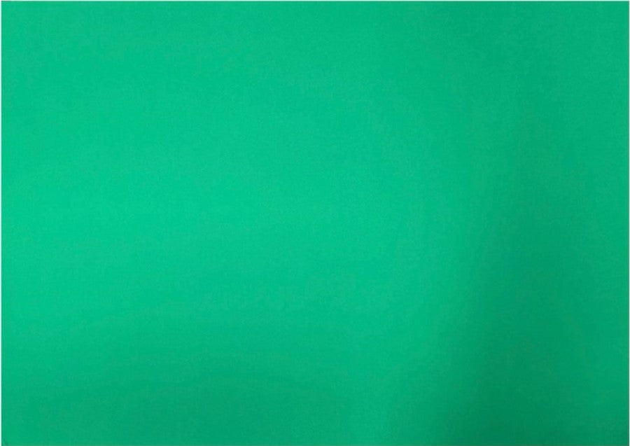 Cartulina Favini Prisma sin Ácido, color en Masa 220g Verde 16 50×70cm INDART® EFA00PP016 Hoja 75018