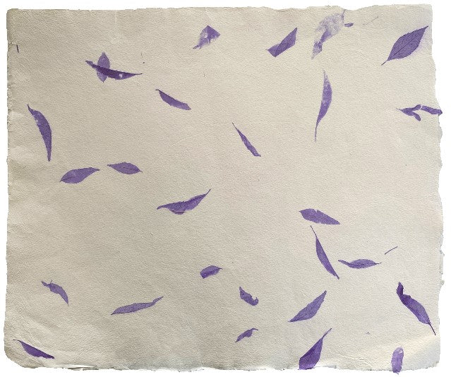 Papel Hecho a Mano c/Hoja Púrpura Crema 50×60cm Nattura® PEX1+207 Hoja 01