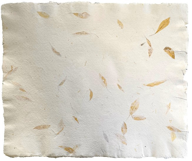 Papel Hecho a Mano c/Hoja Clara Blanco 50×60cm Nattura® PEX1+103 Hoja 01