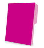 Fólder Color Neón Rosa Neón Carta Pendaflex® C0050 Pieza